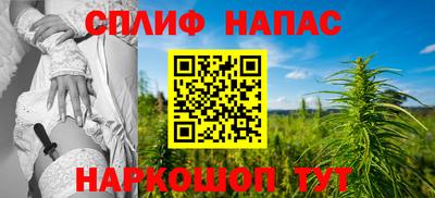 стаф Будённовск